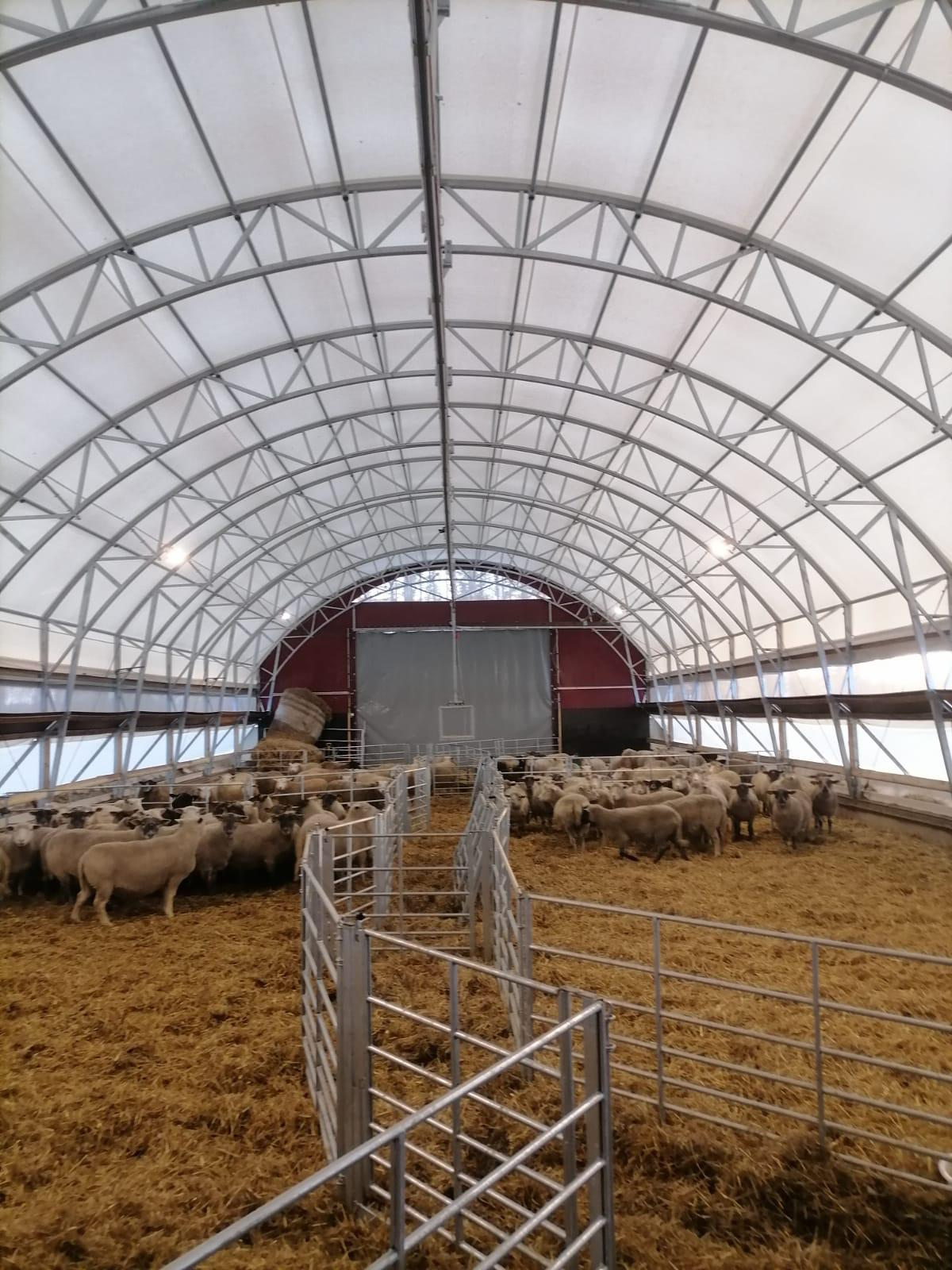 Maatilahalli 10x20x3m 4x6m ovella - Landtek